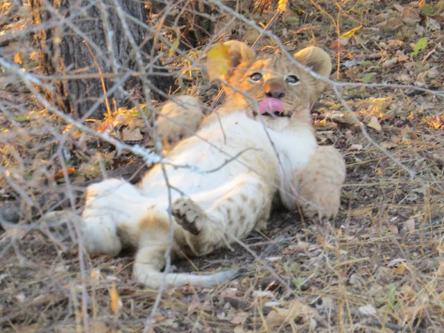 Asien Reiseziel mit Tempel