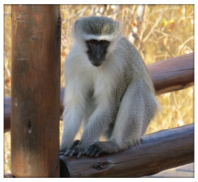 Reiseimpressionen und praktische Tipps